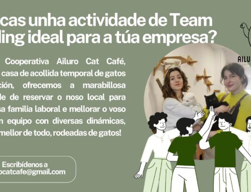 A cooperativa Ailuro Cat Café ofrece actividades de Team Building para calquera empresa interesada