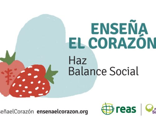 Auditoría Social 2024: mide tus impactos, fortalece tu coherencia