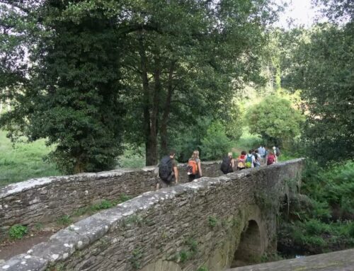 Paradoxo S. Coop. Galega preséntanos o documental “Os Valores no Camiño”